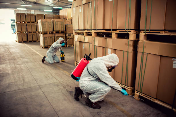 Best Rat Extermination Near Me  in Cherry Creek, CO