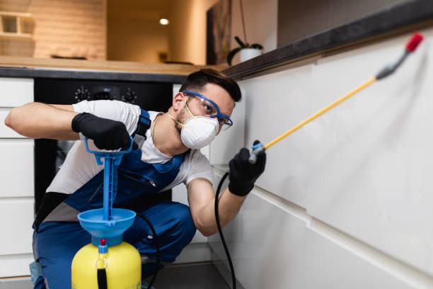 Best Mosquito Control Services  in Cherry Creek, CO