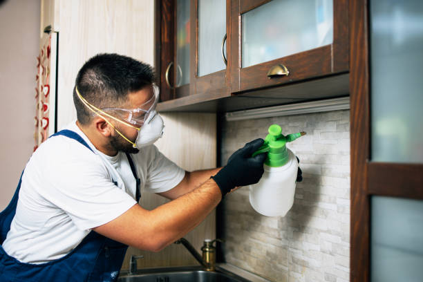 Best Affordable Pest Control Services  in Cherry Creek, CO