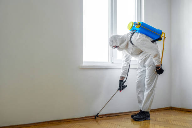 Best Pest Prevention Services  in Cherry Creek, CO